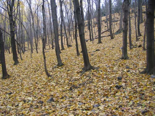 mountain slope